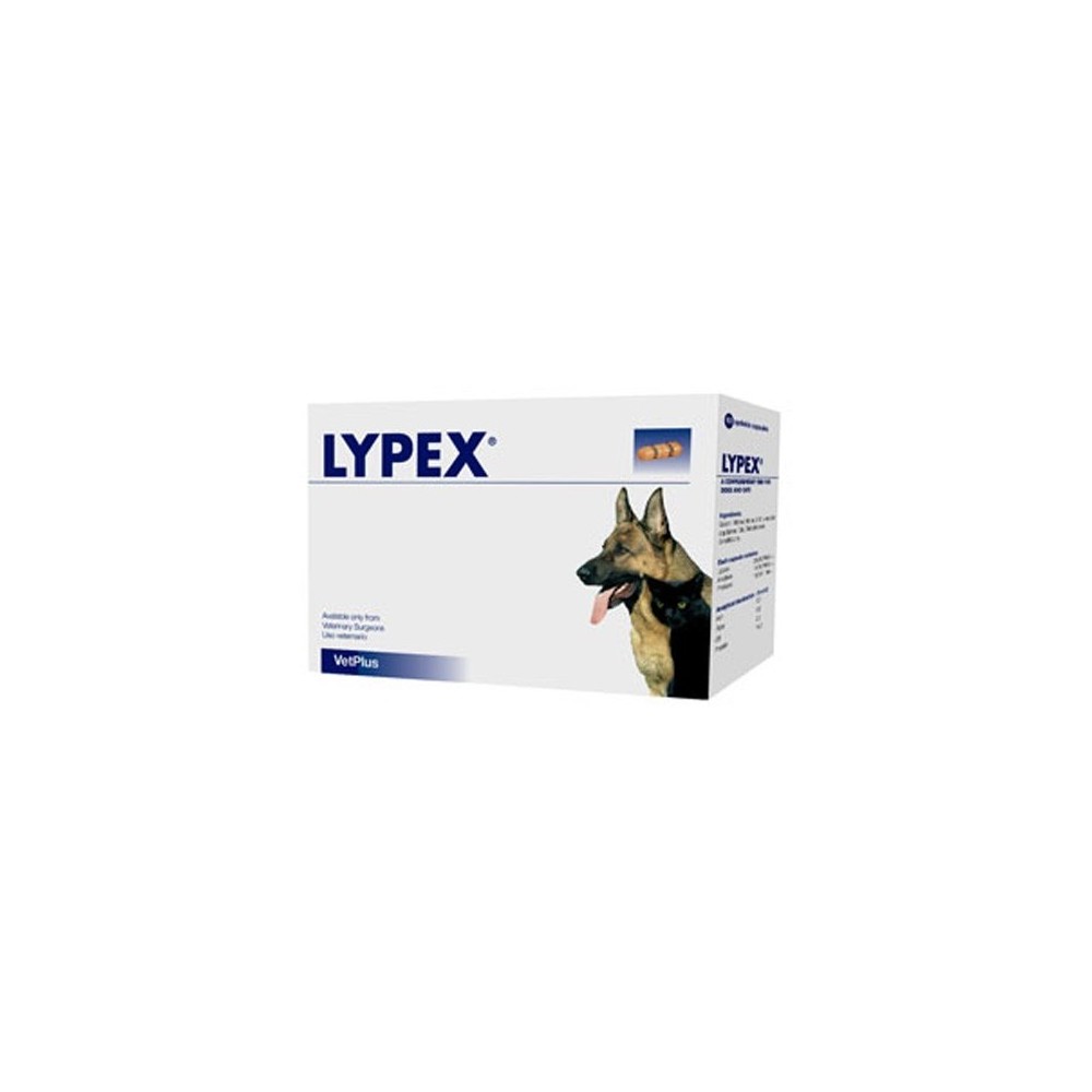 Vetplus Lypex complemento pancreatico blister 60 cápsulas