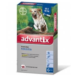 ADVANTIX 10 -25 4 PIPETAS