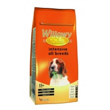WILLOWY GOLD INTENSIVE  15 KG