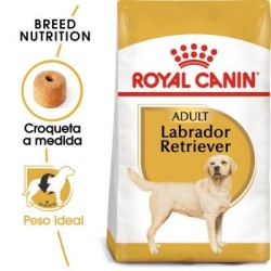 Royal Canin Labrador Retriever Adult