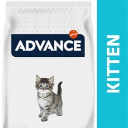 Advance Kitten con pollo