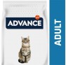 ADVANCE CAT ADULT POLLO