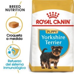 Royal Canin Yorkshire Terrier Puppy