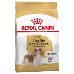 Royal Canin  cavalier King Charles Adult