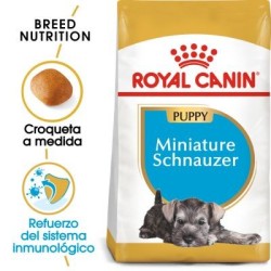 Royal Canin Schnauzer Miniatura Puppy