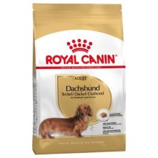 Royal Canin Teckel Adult