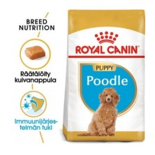 ROYAL CANIN Poodle Puppy