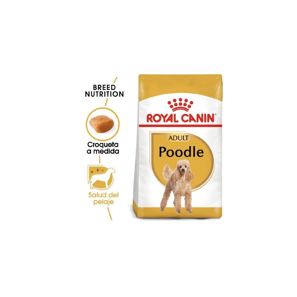 Royal Canin Caniche