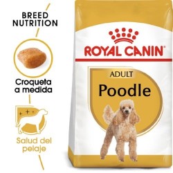 Royal Canin Caniche