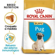 Royal Canin Carlino Puppy