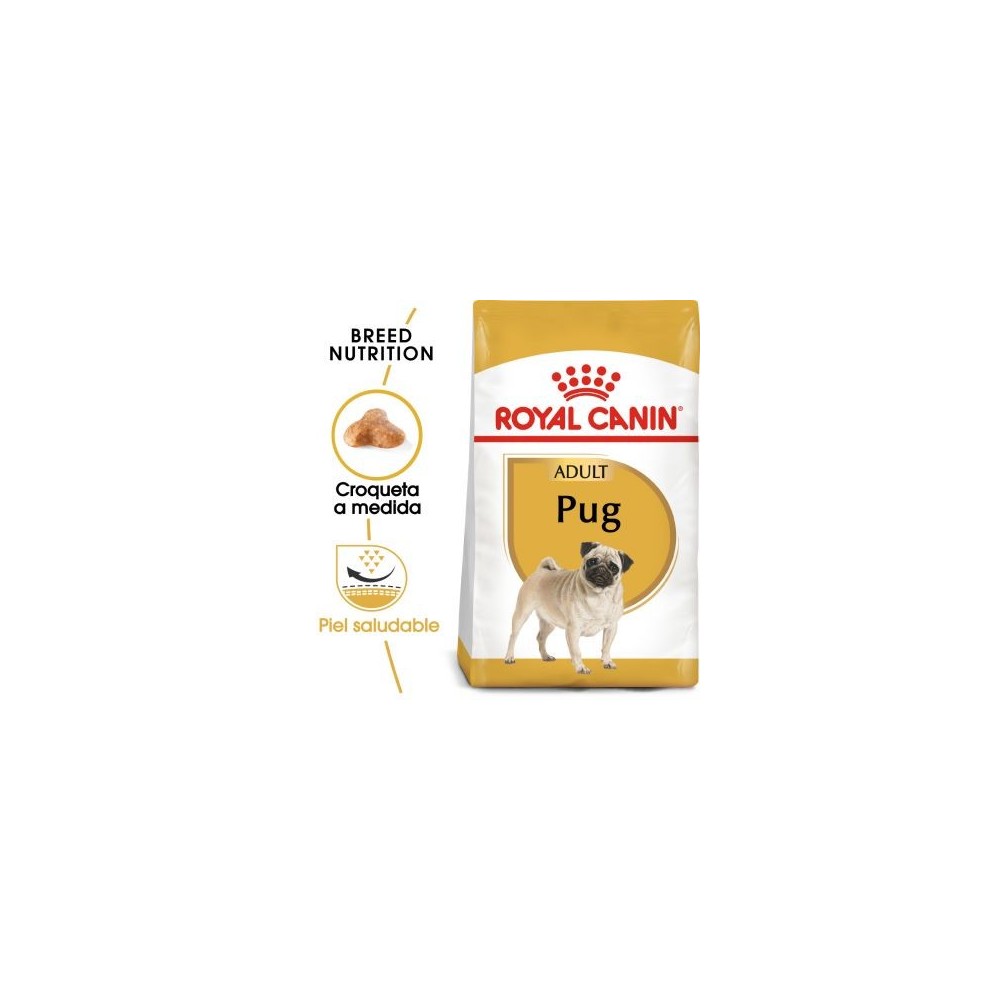 Royal Canin Carlino Adult