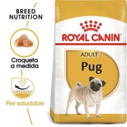 Royal Canin Carlino Adult