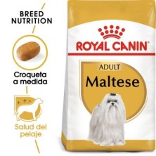 Royal Canin Bichón Maltés Adult