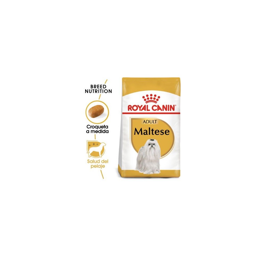 Royal Canin Bichón Maltés Adult