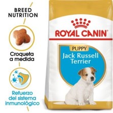 Royal Canin Jack Russell Puppy