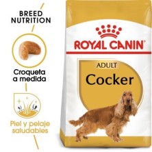 Royal Canin Cocker Adult