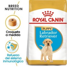 Royal Canin Labrador Retriever Puppy