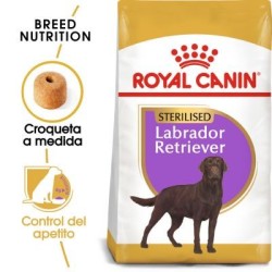 Royal Canin Sterilised Labrador Retriever Adult