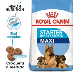 Royal Canin Maxi Starter