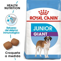 Royal Canin Giant Junior