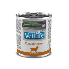 Farmina Vet Life Convalescence (Latas) 300