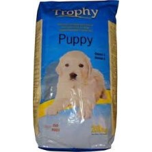 trophy puppy 20kg