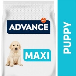 ADVANCE PUPY MAXI 18KG