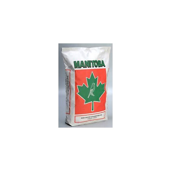 MANITOBA CANARIO T3 PLATINO 20 Kg
