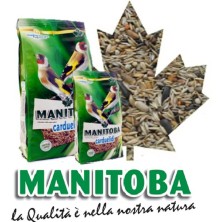 MANITOBA MIX CARDUELIDI 15 Kg