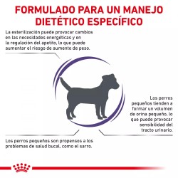 ROYAL CANIN NEUTERED ADULT SMALL DOG 8 Kg