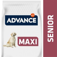 ADVANCE MAXI SENIOR