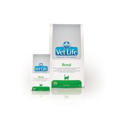 Vet Life Renal Cat 100Gr