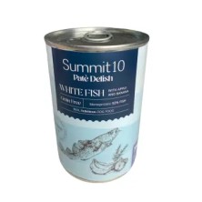 LATAS  SUMMIT   10