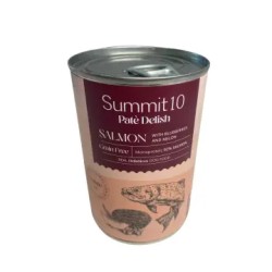 LATAS  SUMMIT   10