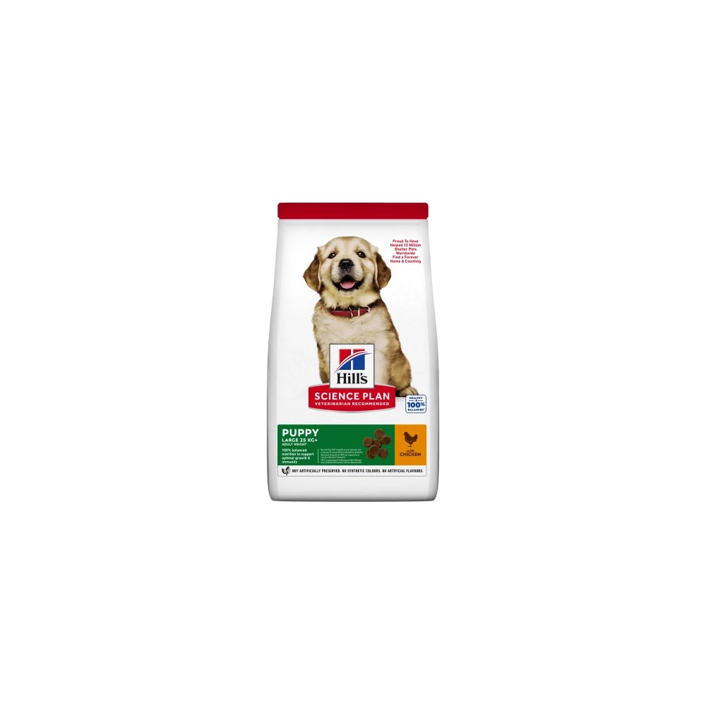 Hill's Science Plan Puppy Large Pollo Perros