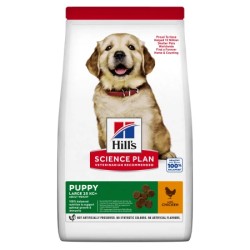 Hill's Science Plan Puppy Large Pollo Perros