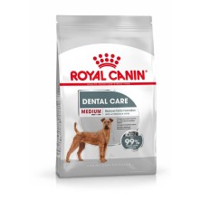 Royal Canin Medium Dental Care 10 kg