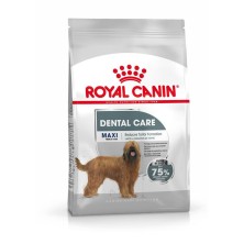 Royal Canin Dental Care Maxi 9 kg