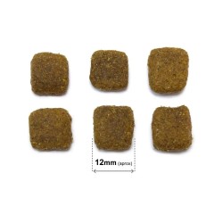 Arquivet Original Adult Cordero y Arroz
