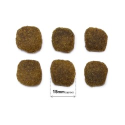 Arquivet Original Adult Salmón y Arroz