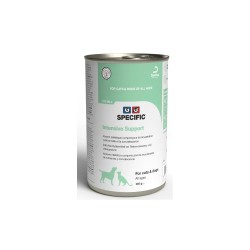 Specific Intensive Support F/C-IN-L