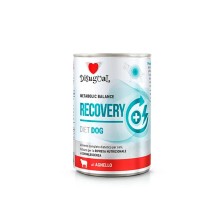Disugual Diet Recovery Cordero Lata para Perros 400 GR