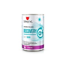 Disugual Diet Recovery Pato Lata para Perros 400 GR