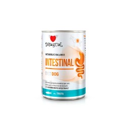 Disugual Diet Instestinal Trucha Lata para Perros 400 GR