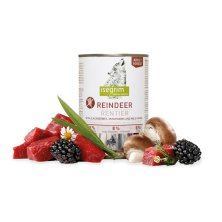 ISEGRIM Adult Forest Reno + Moras, Champiñones Y Hierbas Silvestres 400g