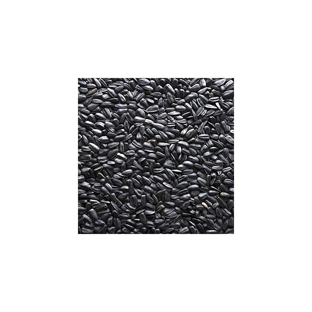 PIPA NEGRA PEQUEÑA  GRANEL 1  KG