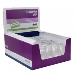 Glutavet Blister 300 Comprimidos BLISTER