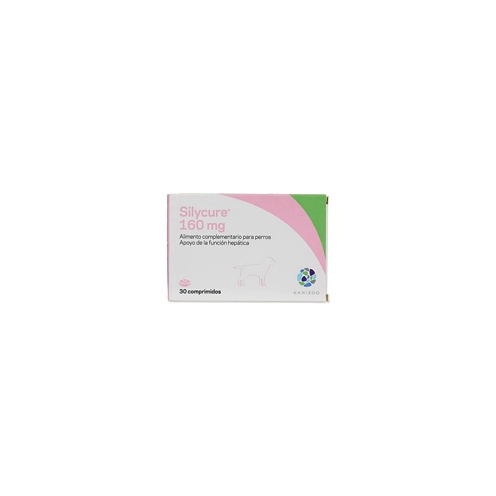 Silycure 160 MG 30 Comprimidos
