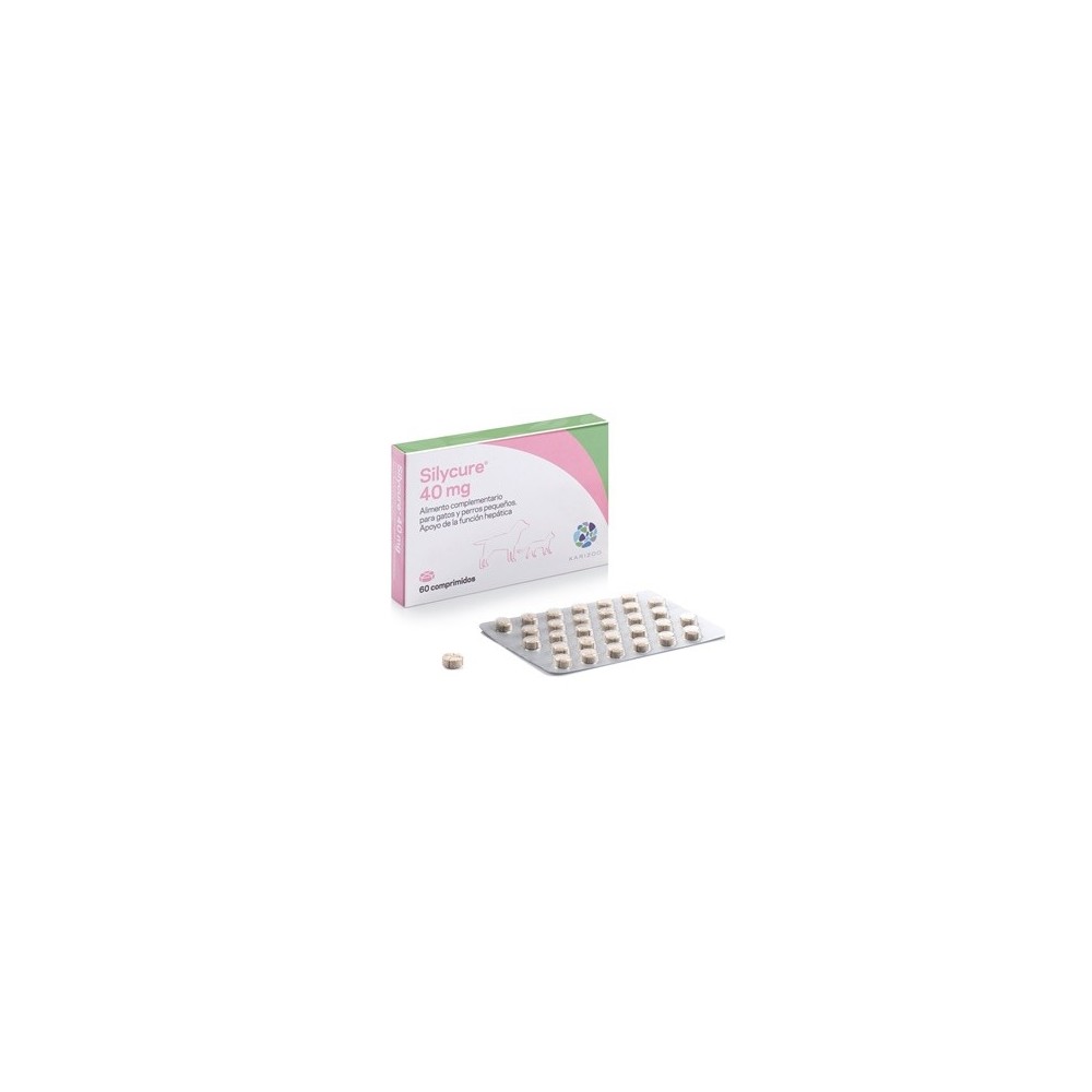 Silycure 40 MG 60 Comprimidos