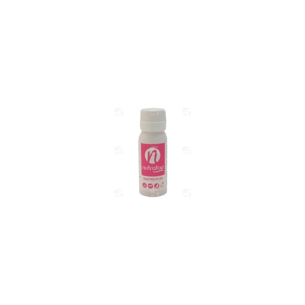 Nutratop Gastro Plus 50 mL